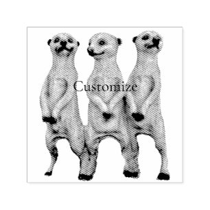 Sello Automático 3 Meerkats permanentes Thunder_Cove