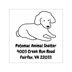 Sello Automático Amante lindo del perro de perrito del caniche