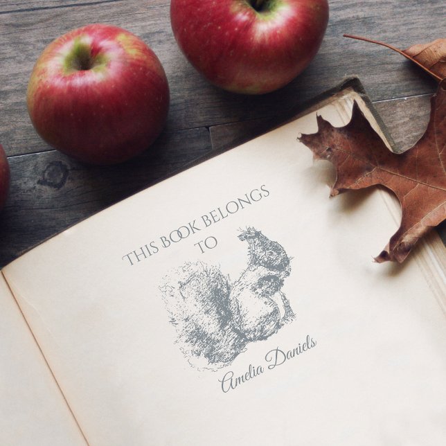 Sello Automático Ardilla Personalizada A La Que Pertenece Este Libr (Subido por el creador)