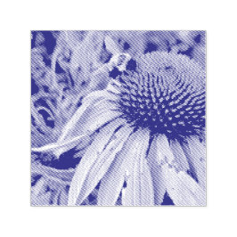 Sello Automático Bee and Coneflower Self Inking Rubber Stamp