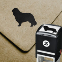 Cavalier King Charles Spaniel Perro Raza Silhouett
