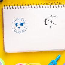 Clase de profesores personalizados de perros felic