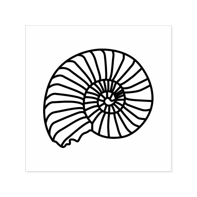 Sello Automático Concha fósil de ammonite orilla de la playa imagen (Diseño)