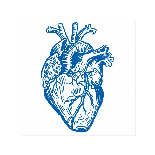 Sello Automático Corazón Anatómico (Diseño)