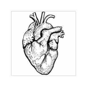 Sello Automático Corazón Anatómico