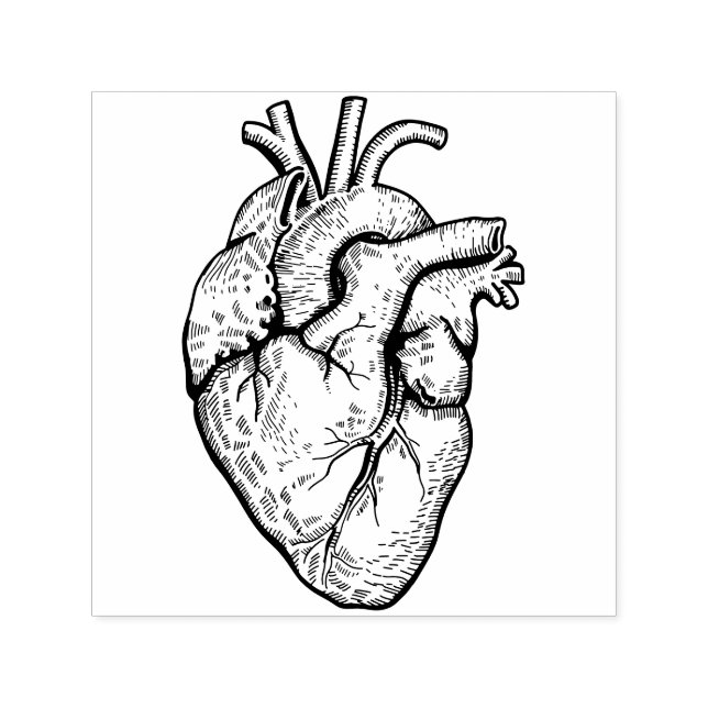 Sello Automático Corazón Anatómico (Diseño)