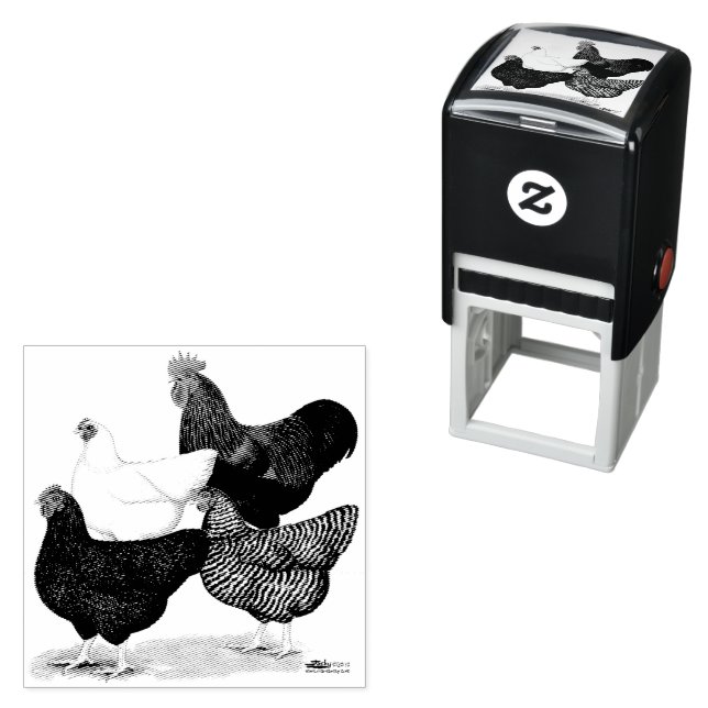 Sello Automático Cuarteto de la Roca Plymouth (In Situ)