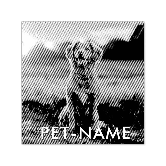 Sello Automático Custom Photo With Your Pet Dog Name Picture On (Diseño)