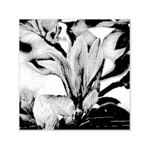 Dibujo de una rama floral de magnolia autoempañada