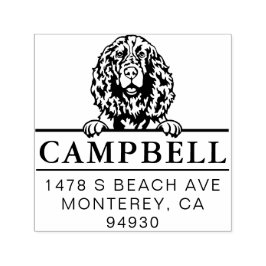 Sello Automático Dirección de perro Personalizado española de Cute