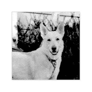 Sello Automático Fantasma