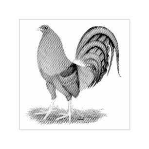 Sello Automático Gallo del rojo azul del gallo de pelea