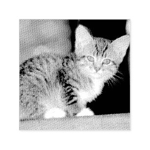 Sello Automático Gatito