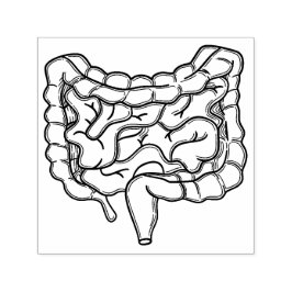 Sello Automático Gut