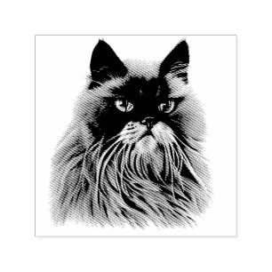 Sello Automático Hermoso retrato persa de gato