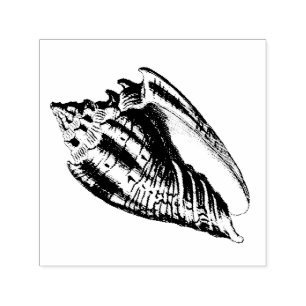 Sello Automático Ilustracion Conch Shell