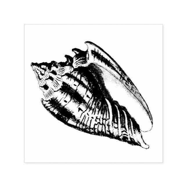 Sello Automático Ilustracion Conch Shell (Diseño)