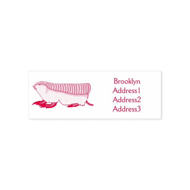 Sello Automático Ilustracion de personalizado de hadas rosadas (Diseño)