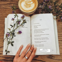 libro bibliotecario de estampado de biblioteca hec