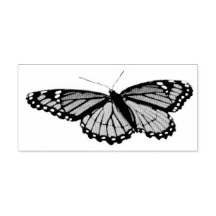 Sello Automático Mariposa Virrey Fotografía De Naturaleza Hermosa