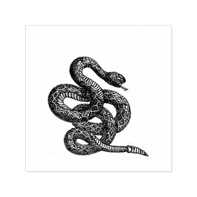 Sello Automático Serpiente Crotalus Cascavella (Víbora de Fosa Vene (Diseño)