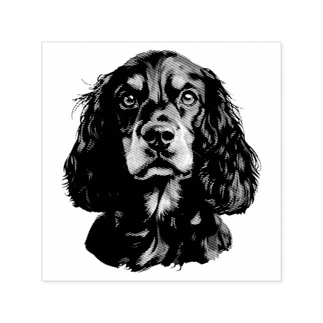 Sello Automático Spaniel de Springer Mascota Perro Animal Arte (Diseño)