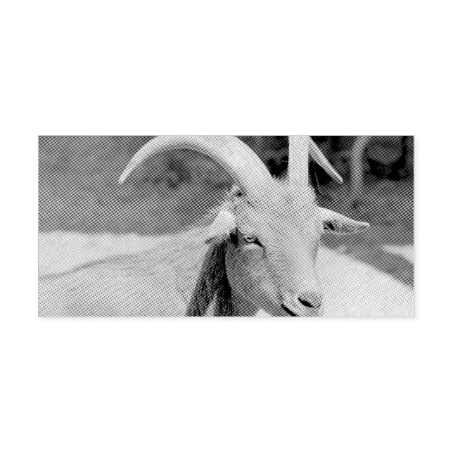 Sello Automático Sr. Bill (Diseño)