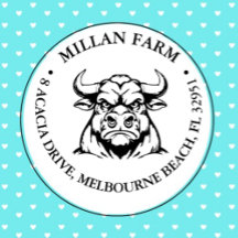 Tema de Cute Angus Bull