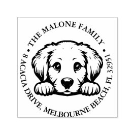 Sello Automático Tema personalizado de Peeking Golden Retriever