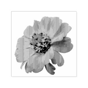 Sello Automático Zinnia Naranja Flor Silvestre Naturaleza Floral