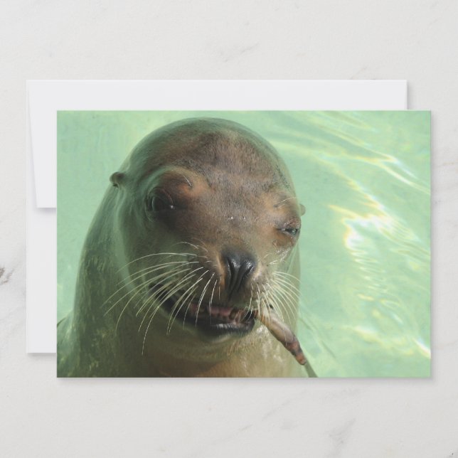 Sello con la invitación de los pescados (Anverso)