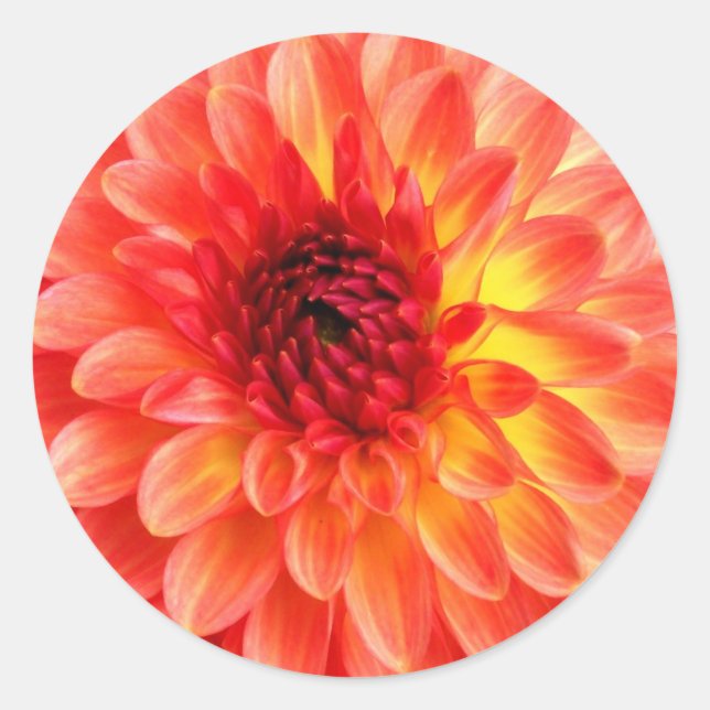 Sello 'Dahlia' (Anverso)