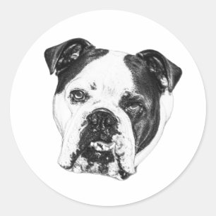 Sello de Bulldog