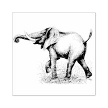 Animales Elephant Safari