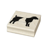 Boer Goat