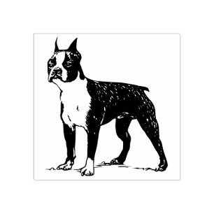 Sello De Caucho Boston terrier