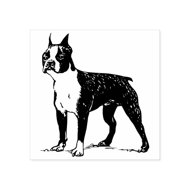Sello De Caucho Boston terrier (Impresión)