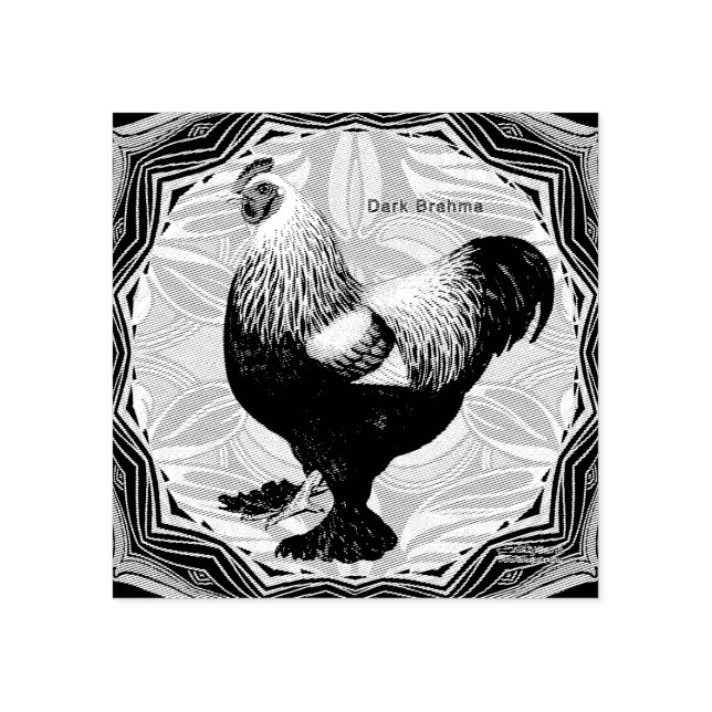 Sello De Caucho Brahma: Fancy Dark Rooster (Impresión)