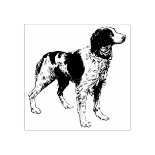Sello De Caucho Brittany Spaniel