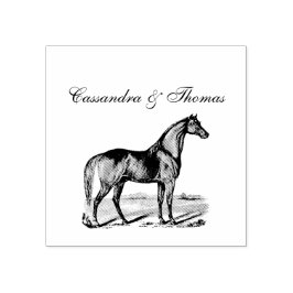 Sello De Caucho Caballo Antiguo de Pie