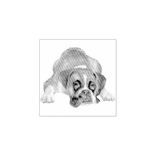 Sello De Caucho Cachorro Cría Más Lindo Boxer
