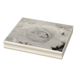 Sello De Caucho Camino del gato