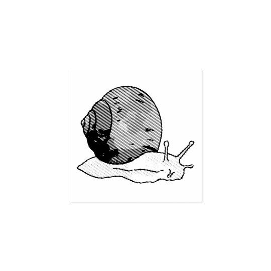 Sello De Caucho caracol