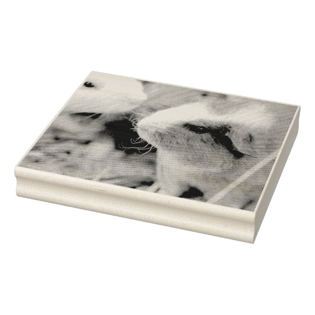 Sello De Caucho Cerdo (Sello)