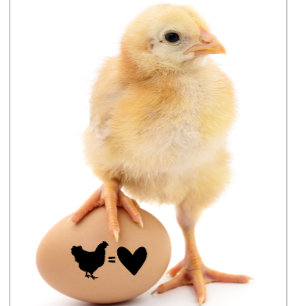 Sello De Caucho Chicken Equal Love Black Cute Ilustracion Art