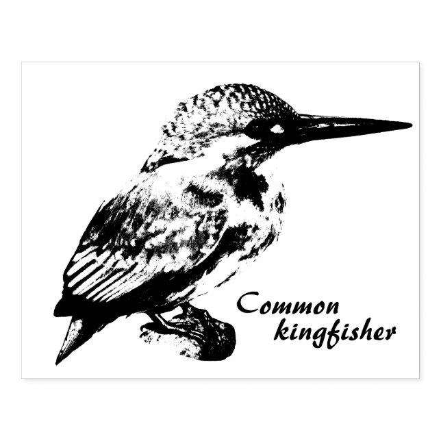 Sello De Caucho Common kingfisher (Impresión)