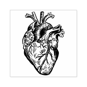 Sello De Caucho Corazón Anatómico