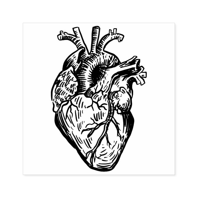 Sello De Caucho Corazón Anatómico (Impresión)