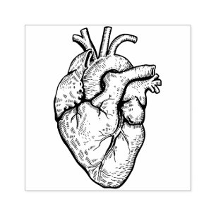 Sello De Caucho Corazón Anatómico