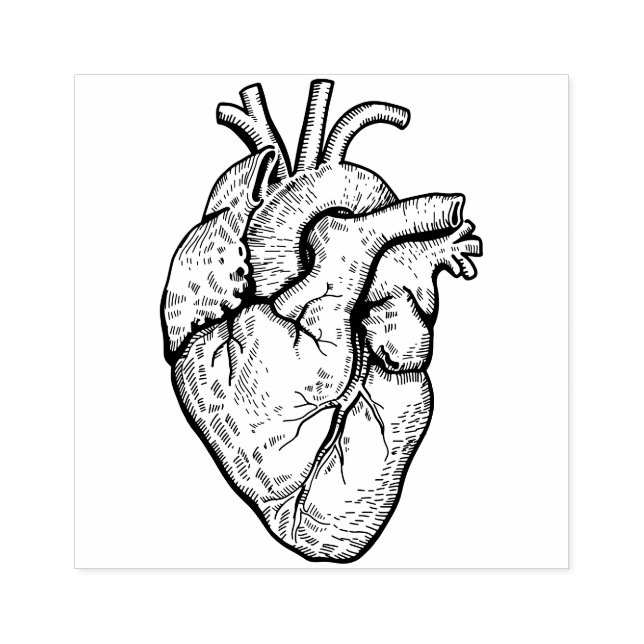 Sello De Caucho Corazón Anatómico (Impresión)